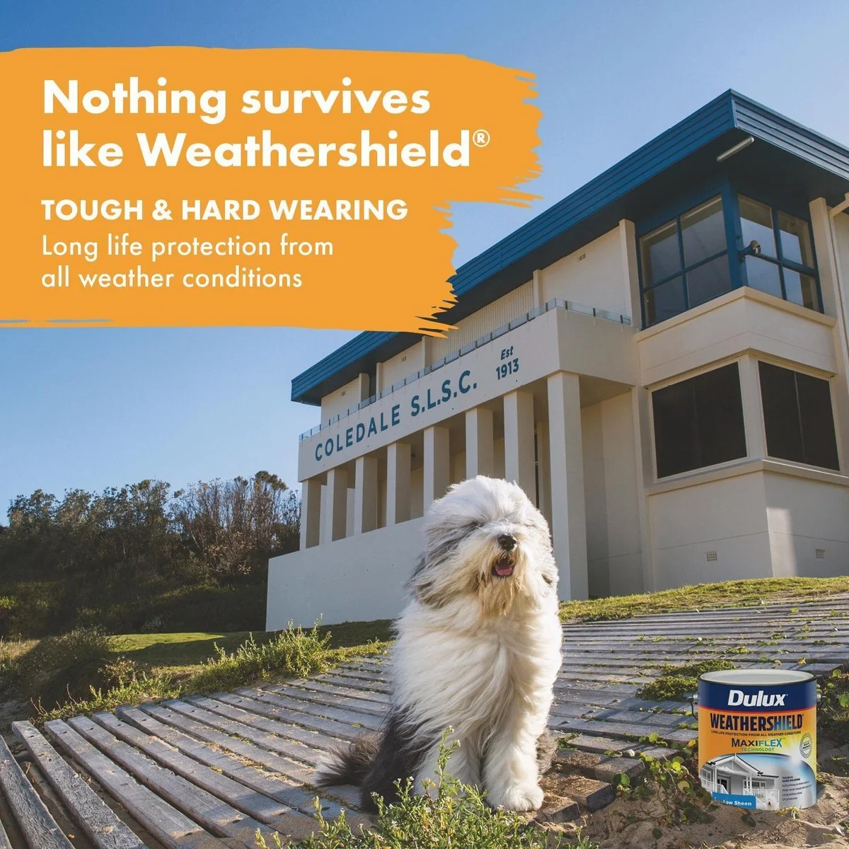 Dulux Weathershield Exterior Paint - Ultra Deep Low Sheen - 4L - 205mm x 198mm x 180mm - Image 2