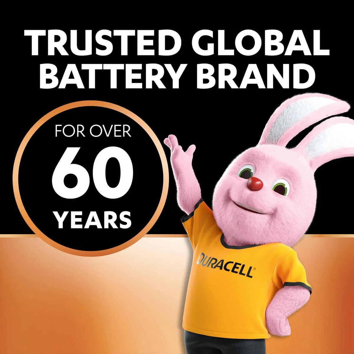 Duracell Coppertop Batteries - AA - Alkaline - Long Lasting Power - Image 5
