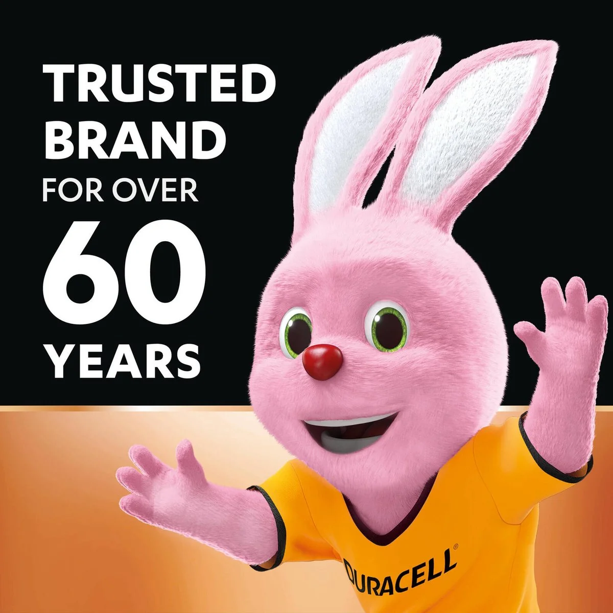 Duracell Everyday Alkaline AAA Batteries - 18 Pack - Long-lasting Power - Copper & Black - Image 2