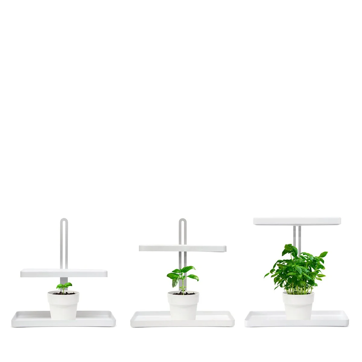 Home Grown Indoor Garden - Adjustable 44cm - Stainless Steel - Smart Timer - Image 3