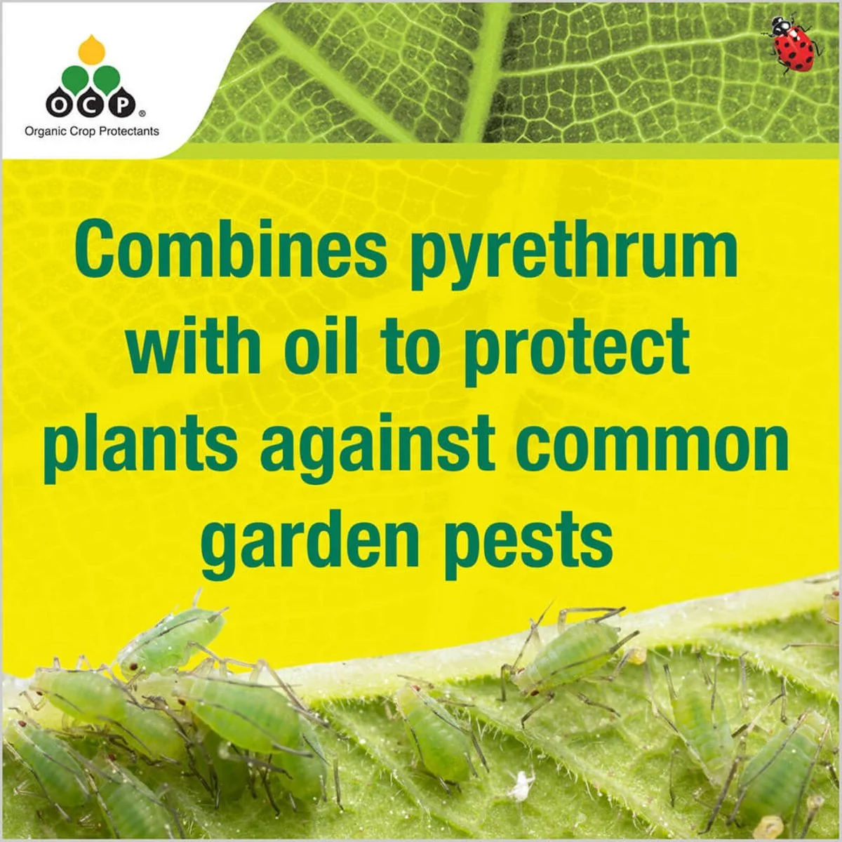 Ocp Eco Pyrethrum Plus Insecticide - 750ml Ready to Use - Organic Gardening - Image 3