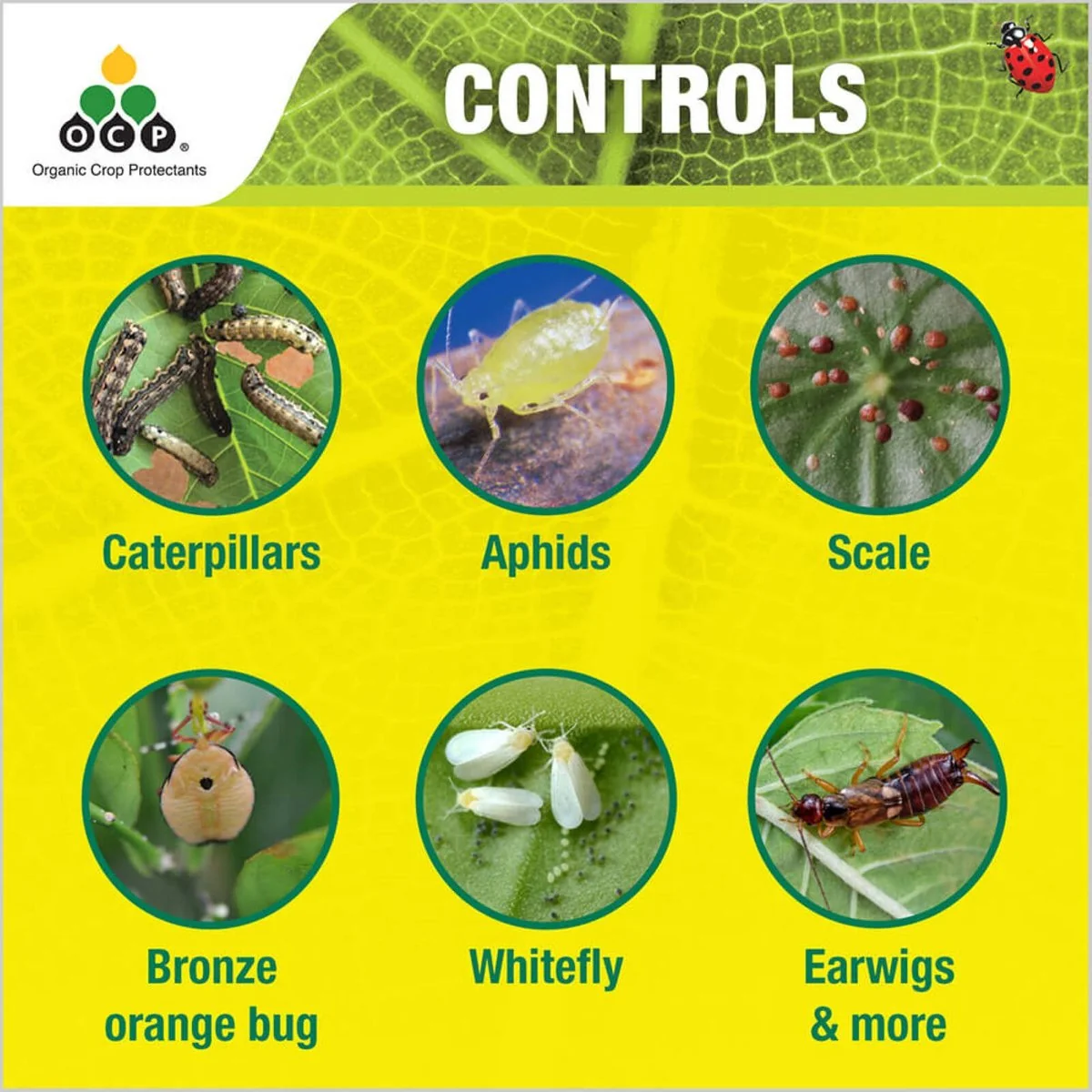Ocp Eco Pyrethrum Plus Insecticide - 750ml Ready to Use - Organic Gardening - Image 4