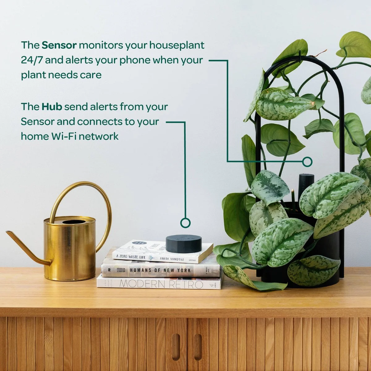 Willow Smart Indoor Plant Sensor - Charcoal - Monitors Soil Moisture, Light, Temperature, Humidity - Bluetooth Connectivity - Image 5