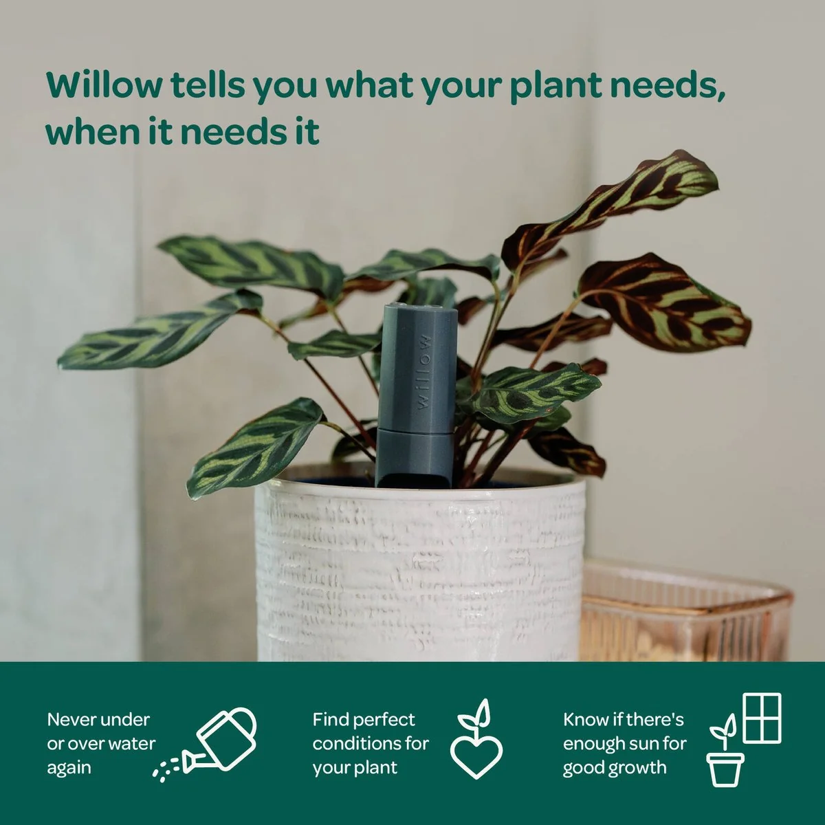 Willow Smart Indoor Plant Sensor - Urban Jungle Pack - 5 Sensors - Charcoal - Monitors Soil Moisture, Light, Temperature, Humidity - Image 4